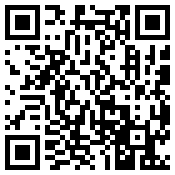 手机/微信访问网站